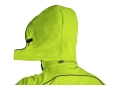 durz5.jpg