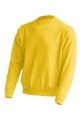 swra290_sy GOLD.jpg