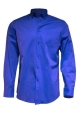royal blue.jpg