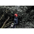 uvex forestry 9774.jpg
