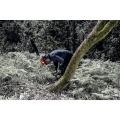 uvex pheos forestry 9774 zestaw do prac leśnych.jpg
