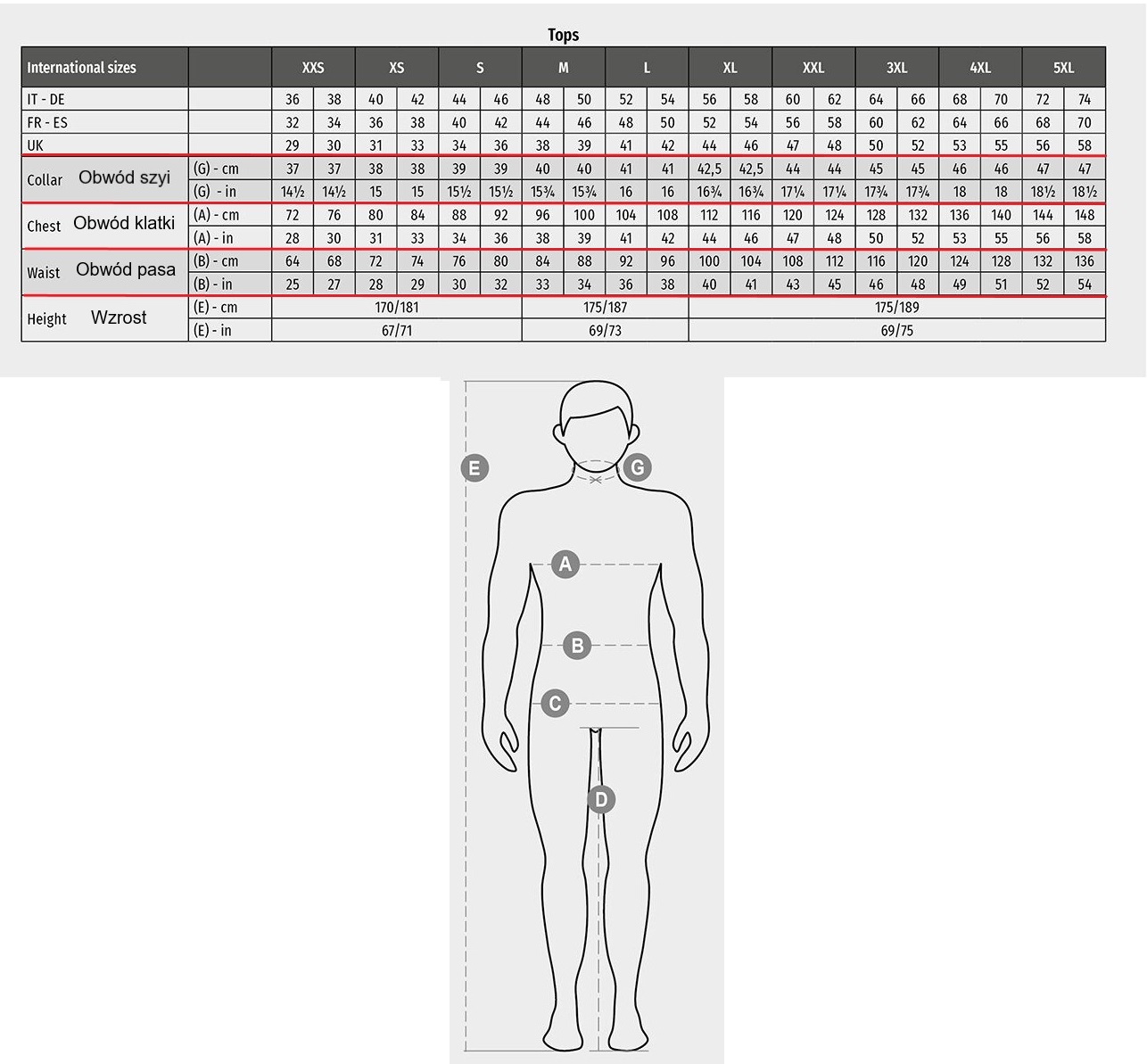 tabela payper casual workwear meska PL2.jpg